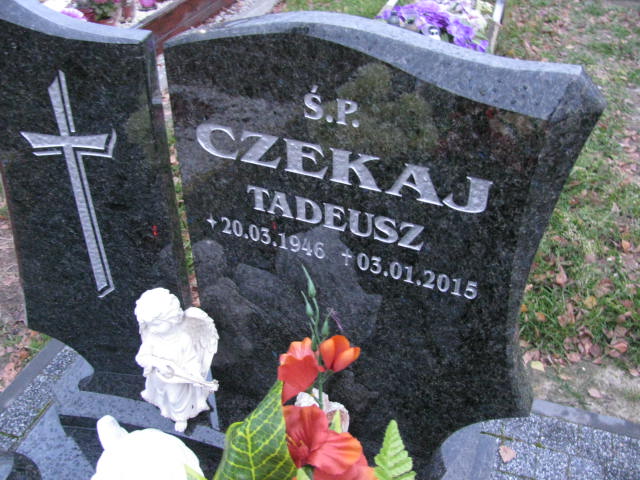Tadeusz Czekaj 1946 Pyskowice - Grobonet - Wyszukiwarka osób pochowanych